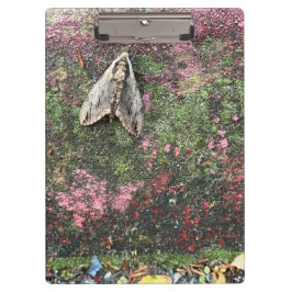 自然インスパイアガ クリップボード