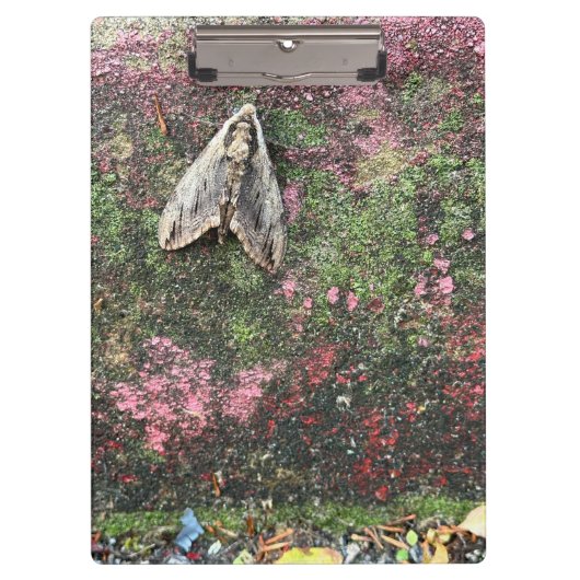 自然インスパイアガ クリップボード (正面)