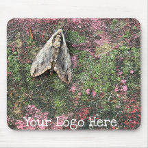 自然インスパイアガ