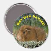 自然インスパイアキュートギニアピグ写真テンプレート マグネット (正面/裏面)