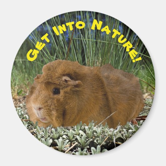 自然インスパイアキュートギニアピグ写真テンプレート マグネット (正面)