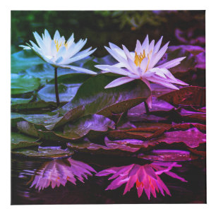 自然インスパイア4"フォトキューブ フォトキューブ