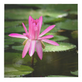 自然インスパイア4"フォトキューブ フォトキューブ (右)