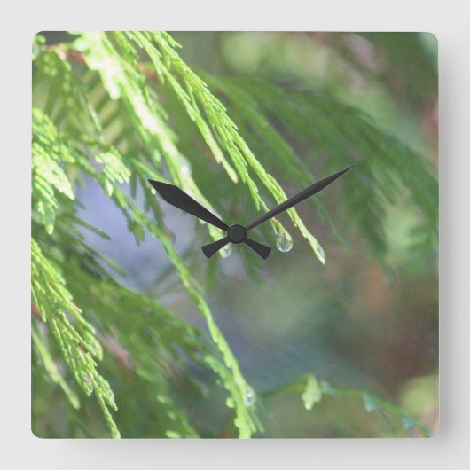自然インスパイア スクエア壁時計 (正面)