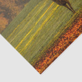 自然インスピレーションの大金 薄葉紙 (詳細)