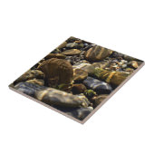 自然インスピレーション太陽が水中の岩をビーム タイル (側面)