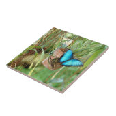 自然インスピレーション明るいブルーバタフライ タイル (側面)