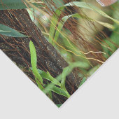 自然インスピレーション明るいブルーバタフライ 薄葉紙 (詳細)