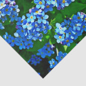 自然インスピレーショ忘れン(明るい青い注目)  薄葉紙 (詳細)