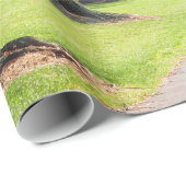 自然ウィロー川の経路写真 ラッピングペーパー (ロールコーナー)