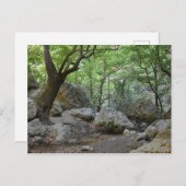 自然ウォークポストカード ポストカード (正面/裏面)