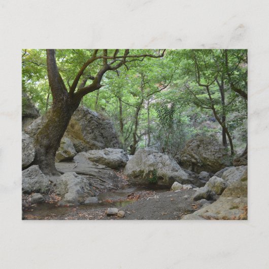 自然ウォークポストカード ポストカード (正面)