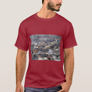 自然ウォータースカートT Tシャツ