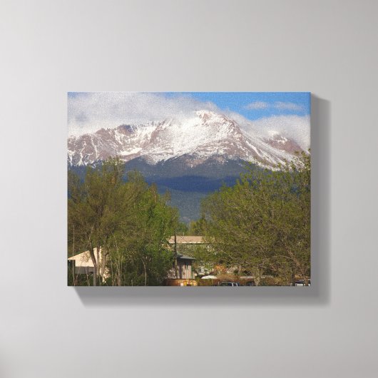 自然ウォールアート キャンバスプリント (正面)