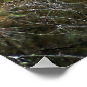 自然カスケードatフィッツロイ秋 ポスター (角)