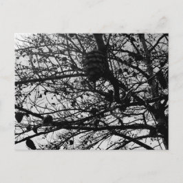 自然カスタムはがき野生生物写真 ポストカード