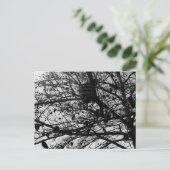 自然カスタムはがき野生生物写真 ポストカード (スタンド正面)