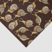 自然カタツムリ 薄葉紙 (詳細)