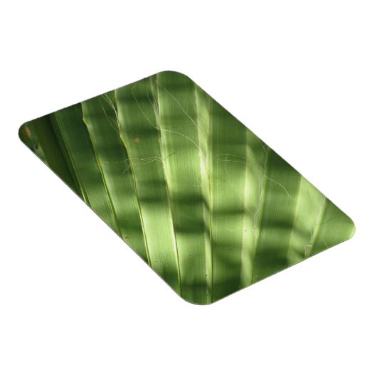 自然カッコいいなサーフェス_溝の付いた前面 マグネット (右側)