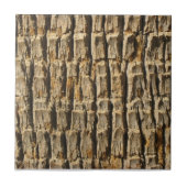 自然カッコいいに表面_ヤシの木の樹皮 タイル (正面)