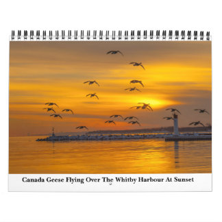 自然カレンダー2023 カレンダー