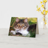 自然キャットグリーティングカード カード (黄色い花)