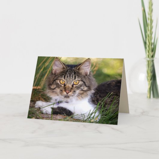 自然キャットグリーティングカード カード (正面)
