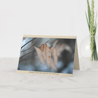 自然グリーティングカード カード