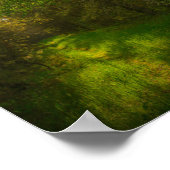 自然グリーンツリーズフォレストランドスケープベラルーシ ポスター (角)