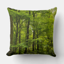 自然グリーンフォレスト写真