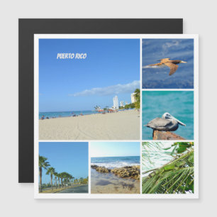 自然コラージュのサンフアン,プエルトリコ磁石