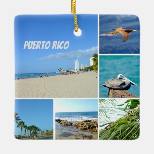 自然コラージュのサンフアン,プエルトリコ セラミックオーナメント (正面)