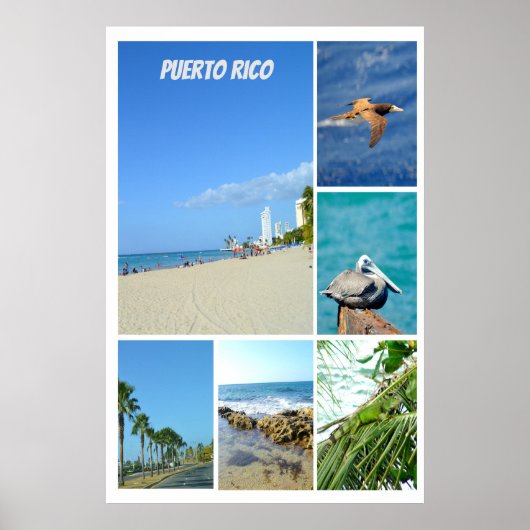自然コラージュのサンフアン,プエルトリコ ポスター (正面)