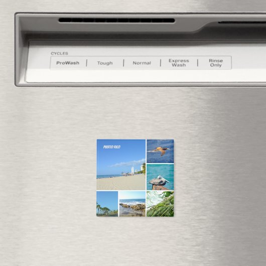 自然コラージュのサンフアン,プエルトリコ マグネット (インサイチュ (食洗機))