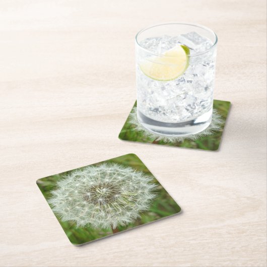 自然コースター スクエアペーパーコースター (インサイチュ)