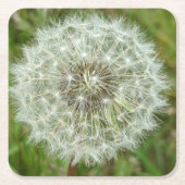 自然コースター スクエアペーパーコースター (正面)