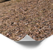 自然サボテンの風景3994 ポスター (角)