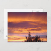 自然サンセット ポストカード (正面/裏面)
