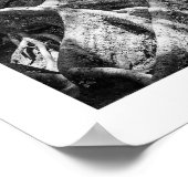 自然シリーズの詳細 – ルーツポスター ポスター (角)