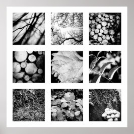 自然シリーズの詳細 – 森のポスター ポスター