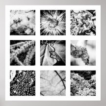 自然シリーズの詳細-詳細ポスター