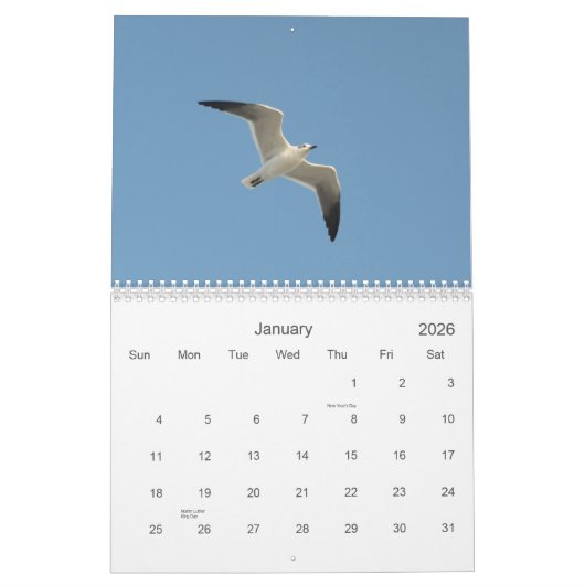 自然シーン2015カレンダー カレンダー (1月 2026)