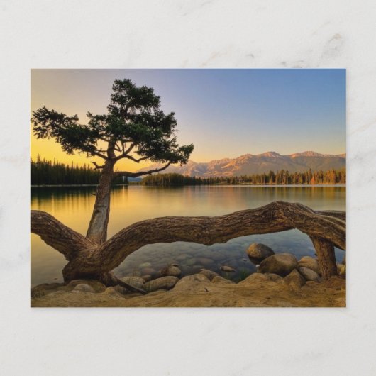 自然シーン ポストカード (正面)