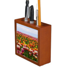 自然シーン，ライターのギフト，ライターデスク，チューリップ