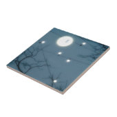 自然スカイライト タイル (側面)