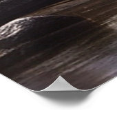 *~*自然ストリームAP49ムースフォレスト ポスター (角)