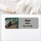 自然タートルフォト爬虫類湖動物の住所 ラベル (インサイチュ)