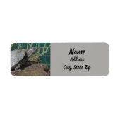 自然タートルフォト爬虫類湖動物の住所 ラベル (正面)