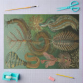 自然チェッポダエルンストヘッケルデクページ 薄葉紙 (クラフト)