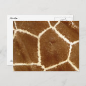 自然テクスチャ付きフォトキリンアニマルプリントパターン ポストカード (正面/裏面)